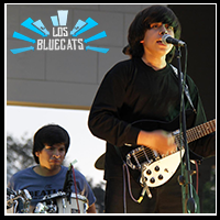 Los Bluecats